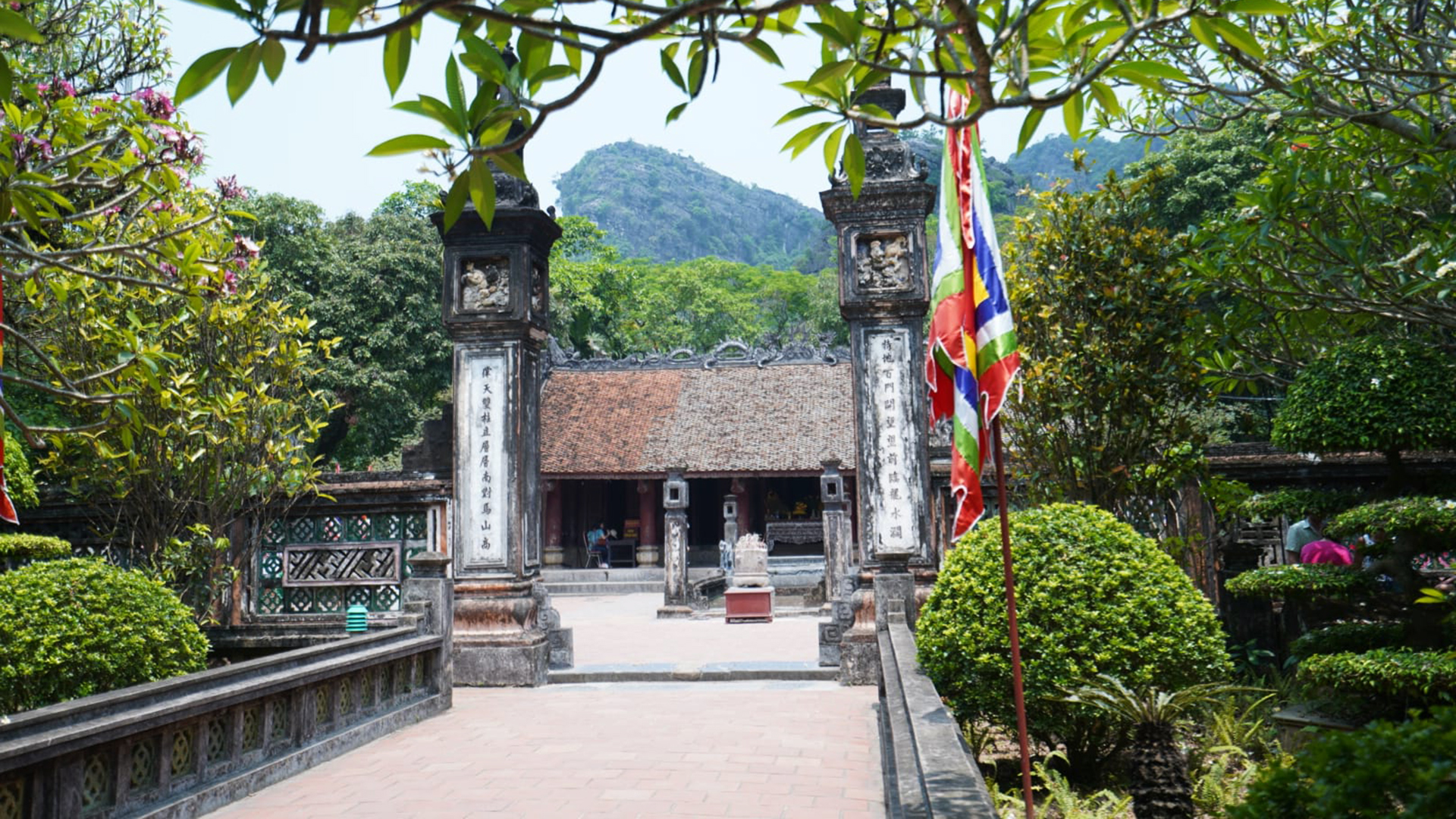 Day Tour | Discover Hoa Lu - Tam Coc - Mua Cave | Departure from Hanoi